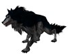 BLACK AND GREY LYCAN