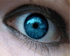 3viL blue eye AVO
