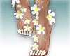 Feet White flowers