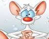 Pinky and the brain Top