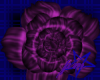 PM Purple Flower