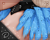 lDl Feathers Collar Blue