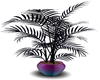Neon Plant