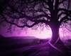 purple scene backdrop