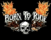 born to ride