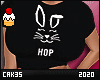 His n Hers Bunny Hip Hop