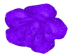 Aline Purp Rose Earings