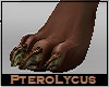 PteroLycus Feet