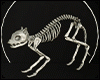 Skelly Cat