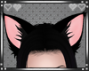 {B}Cat Ears Black