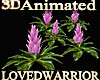 5 Animated Bromeliads 13