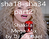*RF*Shakira Megamix p2