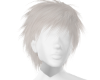 L White