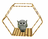 sage little owl n bamboo