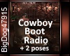 [BD]CowboyBootRadio