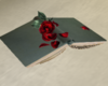 Beauty and the Book