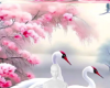 Cranes background