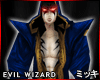 ! Evil Wizard Robe Frost