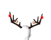 𝕄. Reindeer Antlers M
