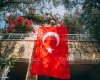 Turkish Flag Picture Art