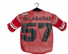 VbasesRed