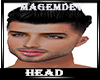 HEAD #11