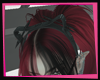 [L] Kitty Head Band