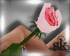 *SK*Pink Rose