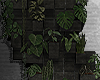 ⛧ wall plants