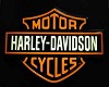 Harley Davidson Pants