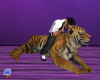 Tiger Lovin'