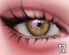 # Demon Eyes M/F
