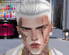 Style - Platinum Hair