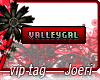 j| Valleygal Loves