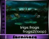 Lillies N Frog w/sound