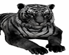 TIGER TIGRE PET