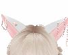 Cat Ears Pink White v2