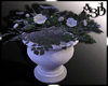 Vase flowers