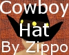 Luxuary Cowboy Hat