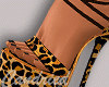 Leopar Shoes