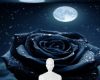 Midnight moon rose bg