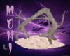 MOHA SWIN