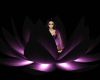 Midnight Purple Lotus
