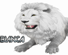 [The Last White Lion]