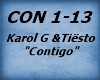 Karol G &Tiësto-Contigo