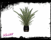 § Luxor Plant §
