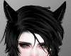 M\F Animated Cat Ears