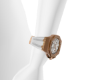 AP Watch F-L