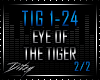 {D Eye of the Tiger P2