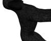Black poodle